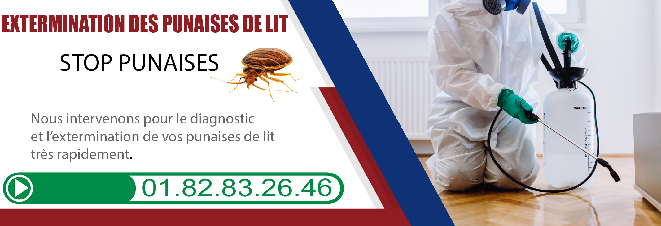 Punaises de Lit Bonneuil en France 95500